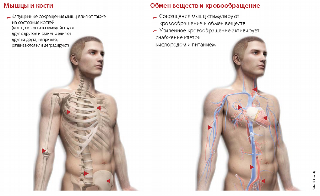 Мышечные заболевания